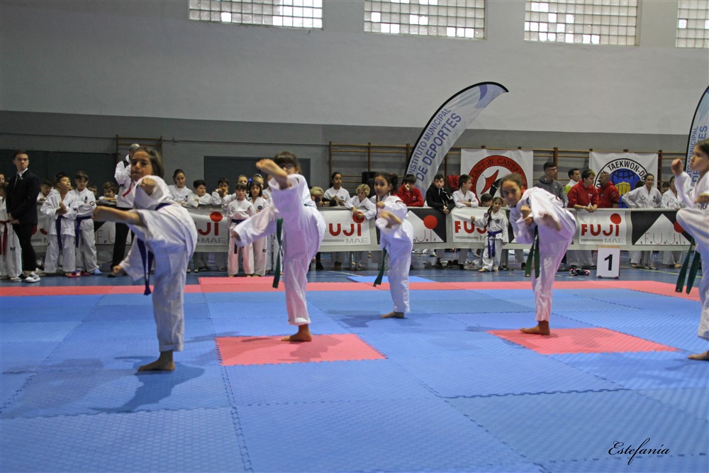 Copa Seul 2018 (318).jpg